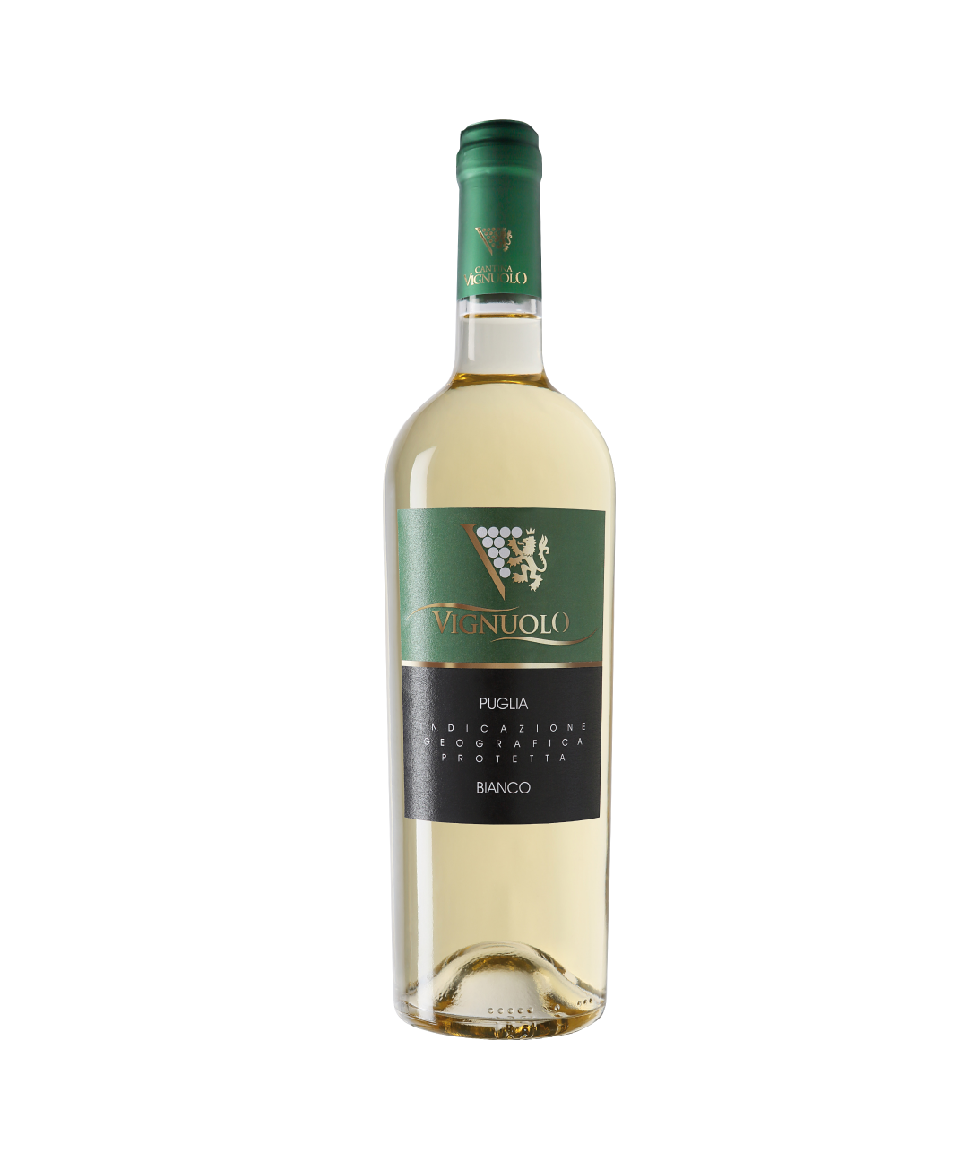 Bianco IGP Puglia | Vignuolo